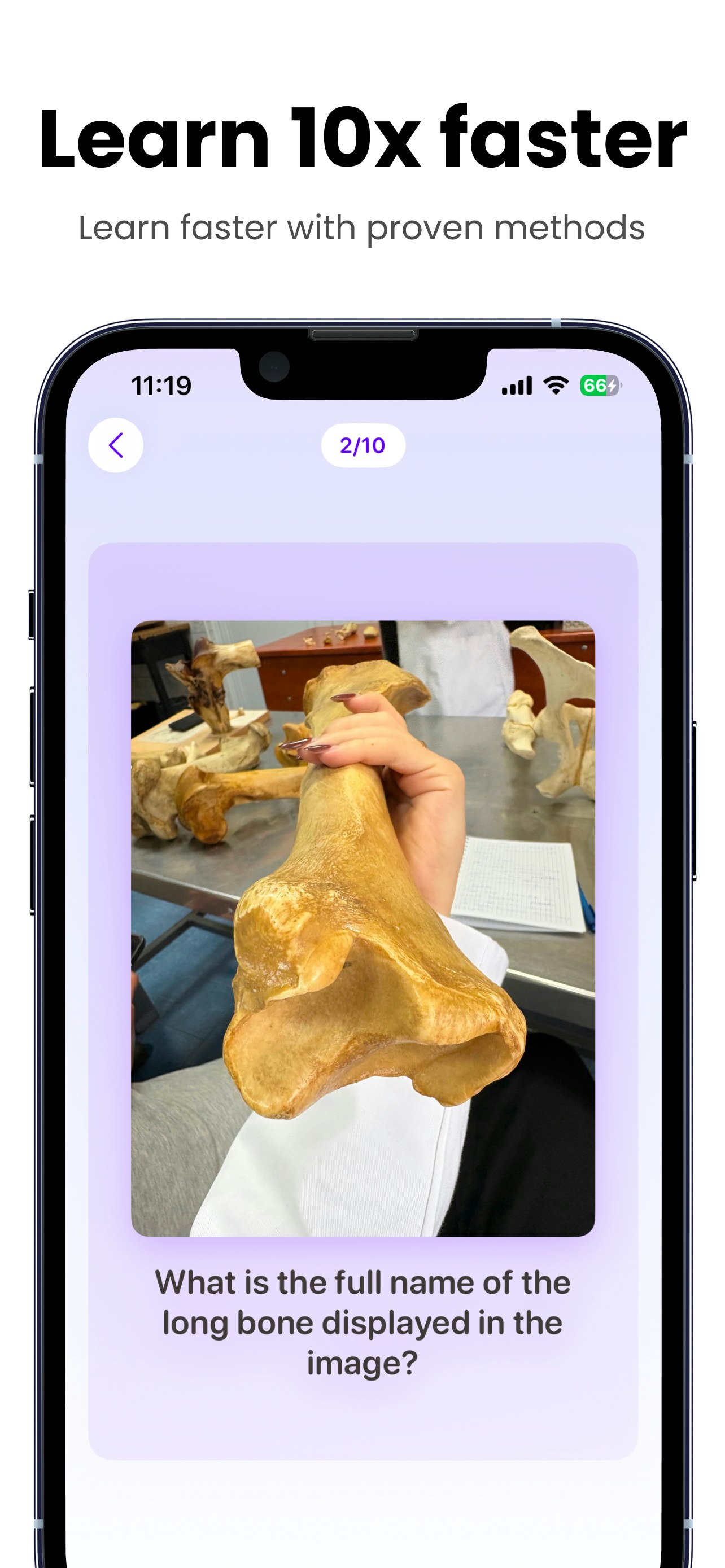 Stufy - AI Flashcards screenshot 1