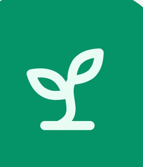 Study Sprout