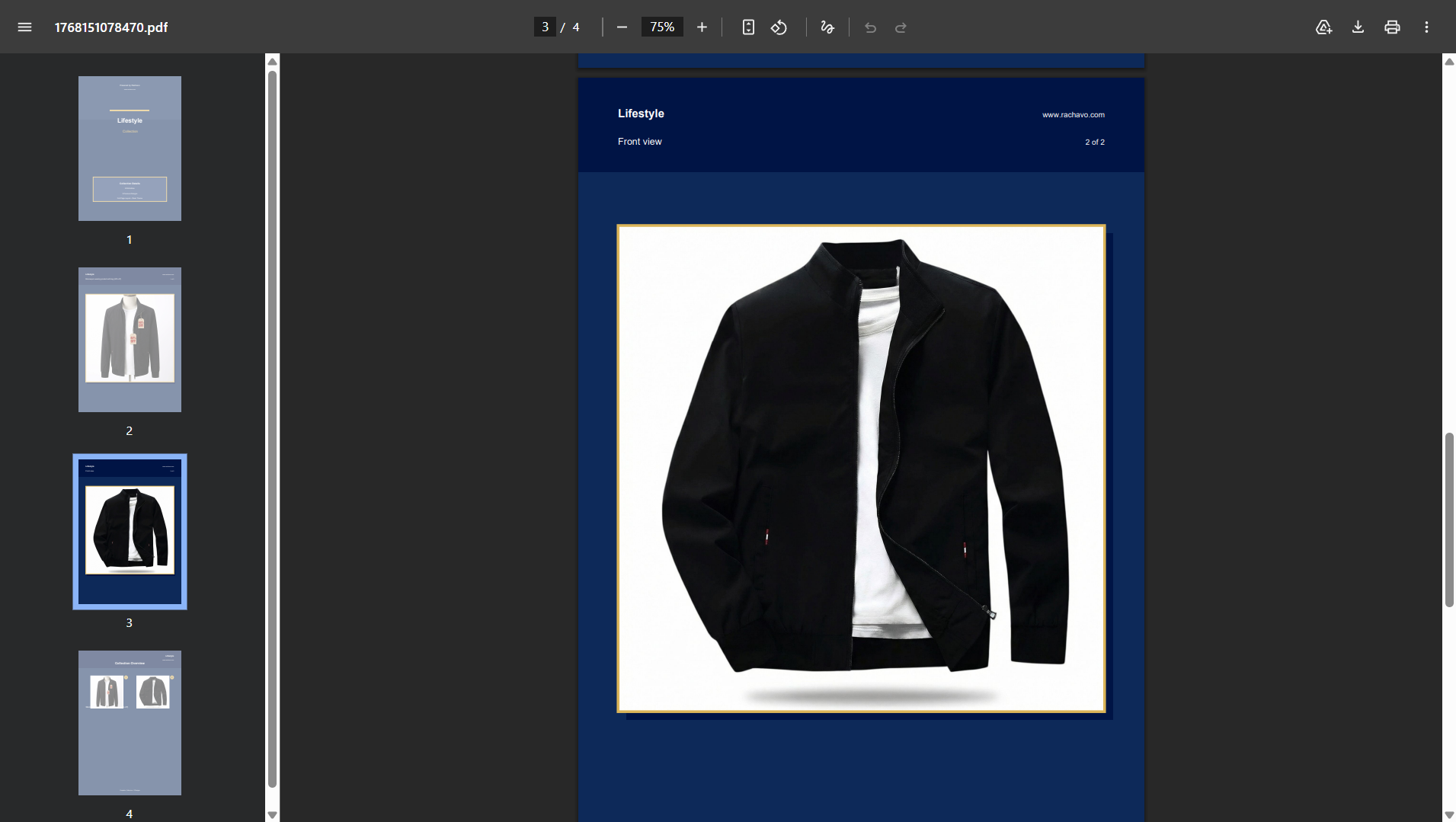 Rachavo screenshot 10