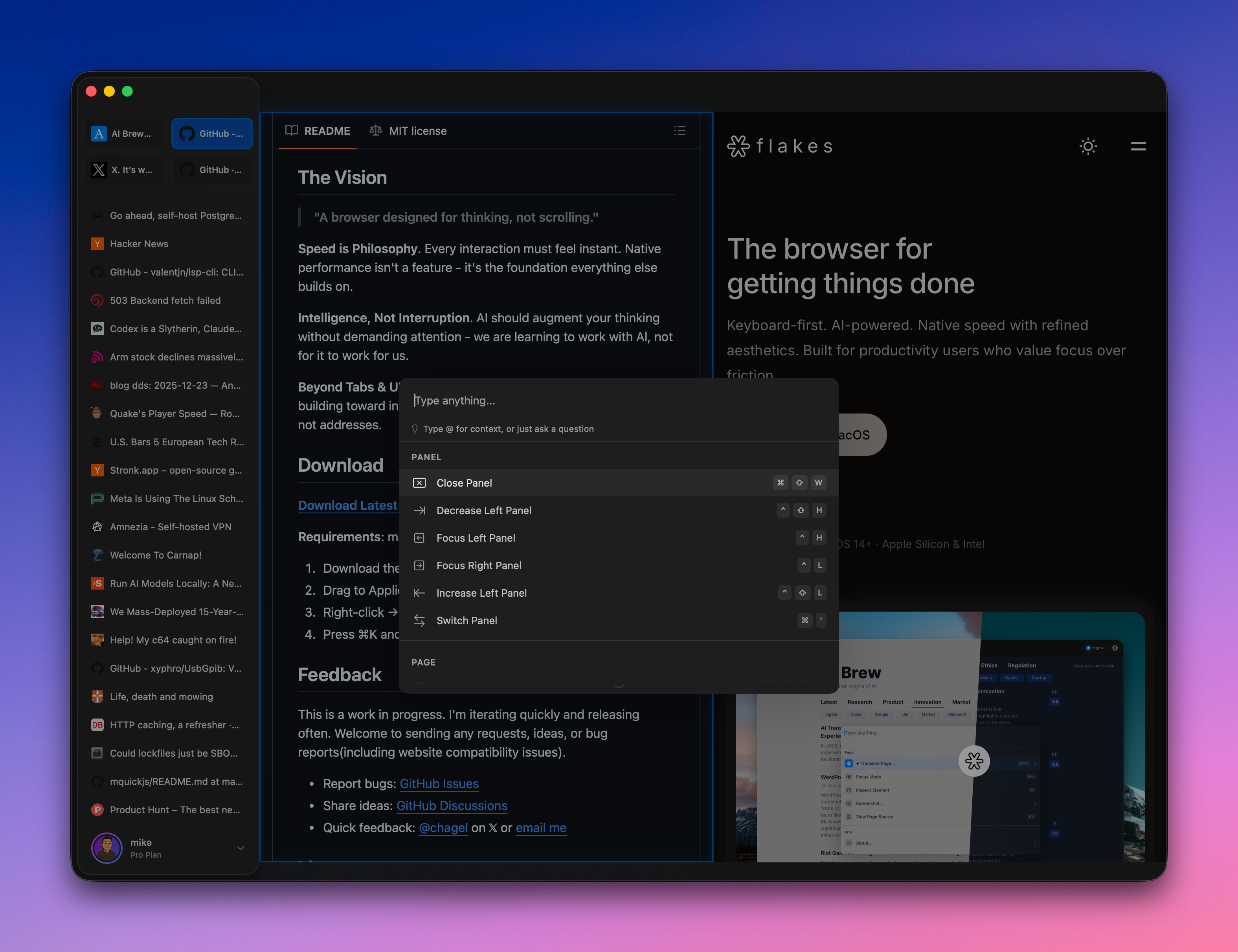 Flakes · Your next browser screenshot 2
