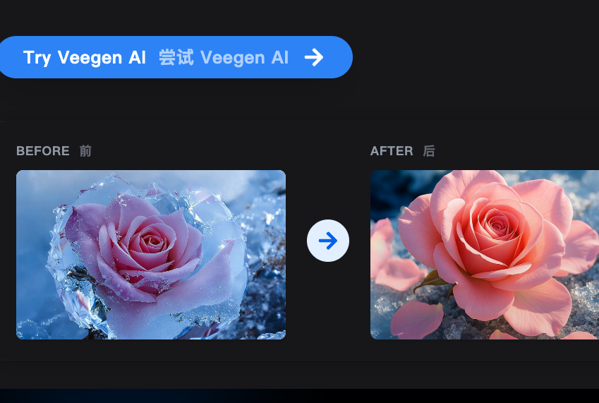 Image to Video AI Generator Online screenshot 2