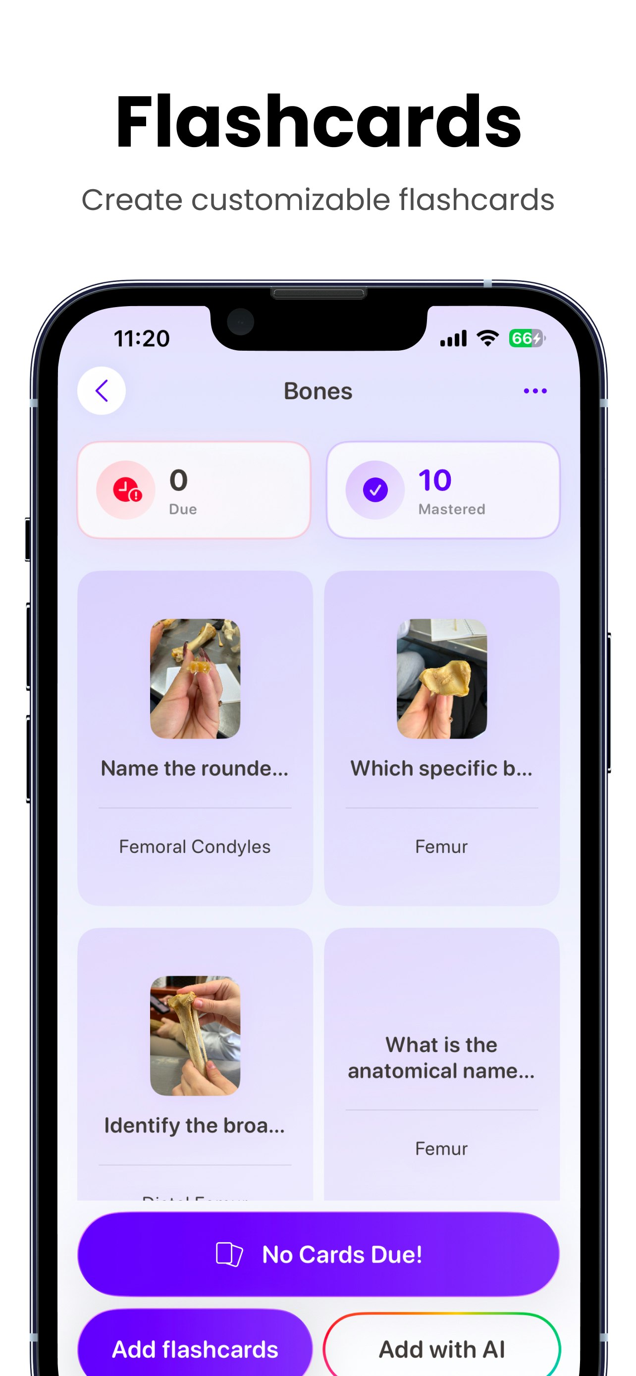 Stufy - AI Flashcards screenshot 3