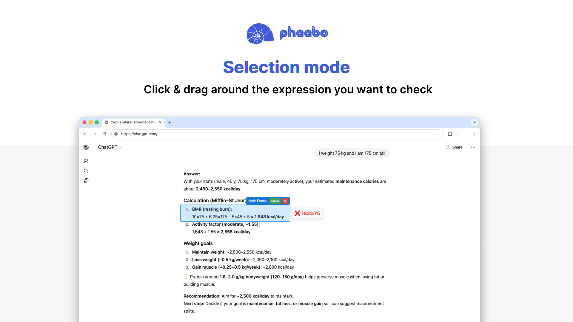 pheebo screenshot 3