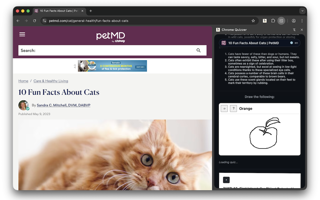 Chrome Quizzer screenshot 7