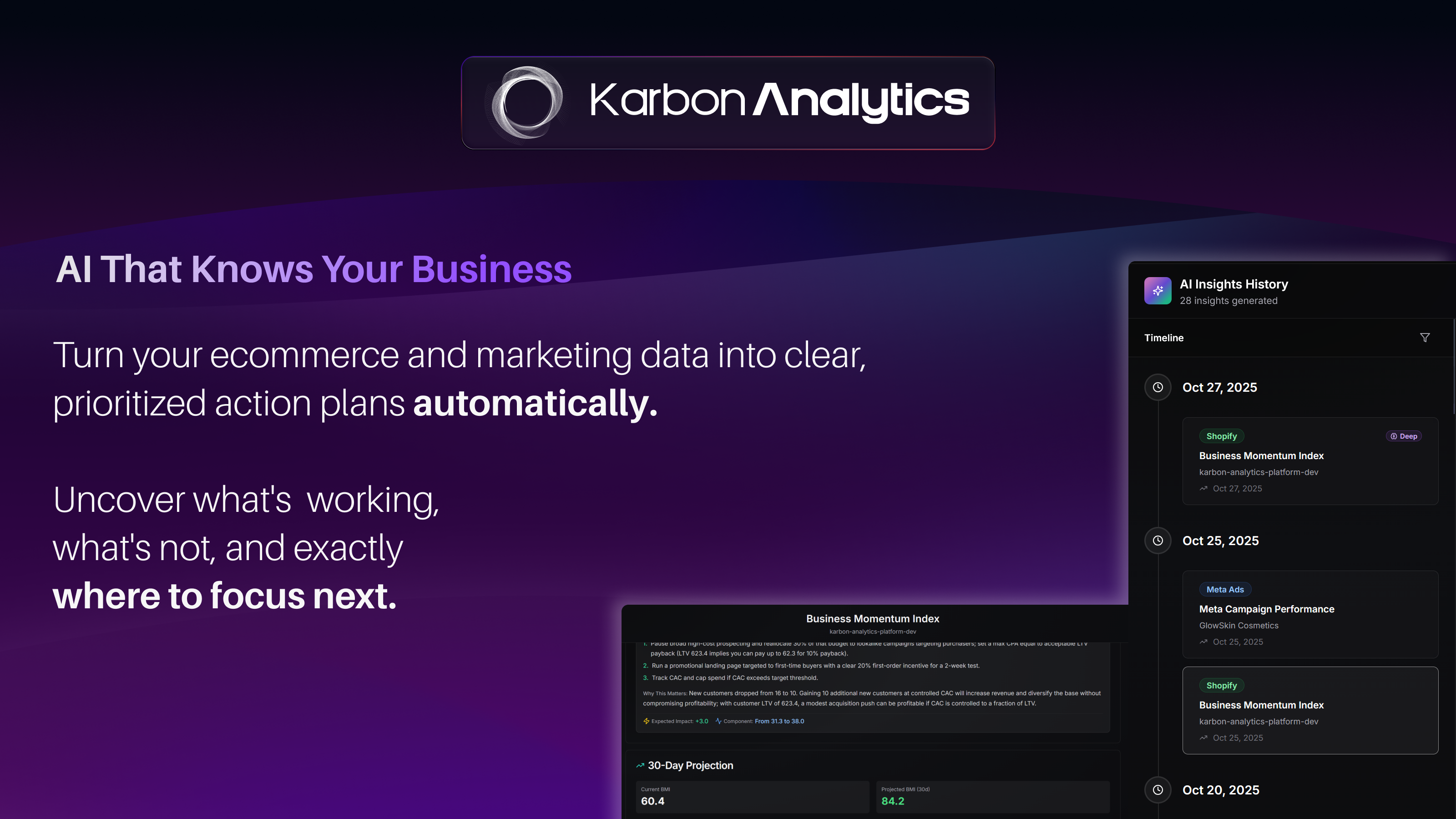 Karbon Analytics screenshot 2