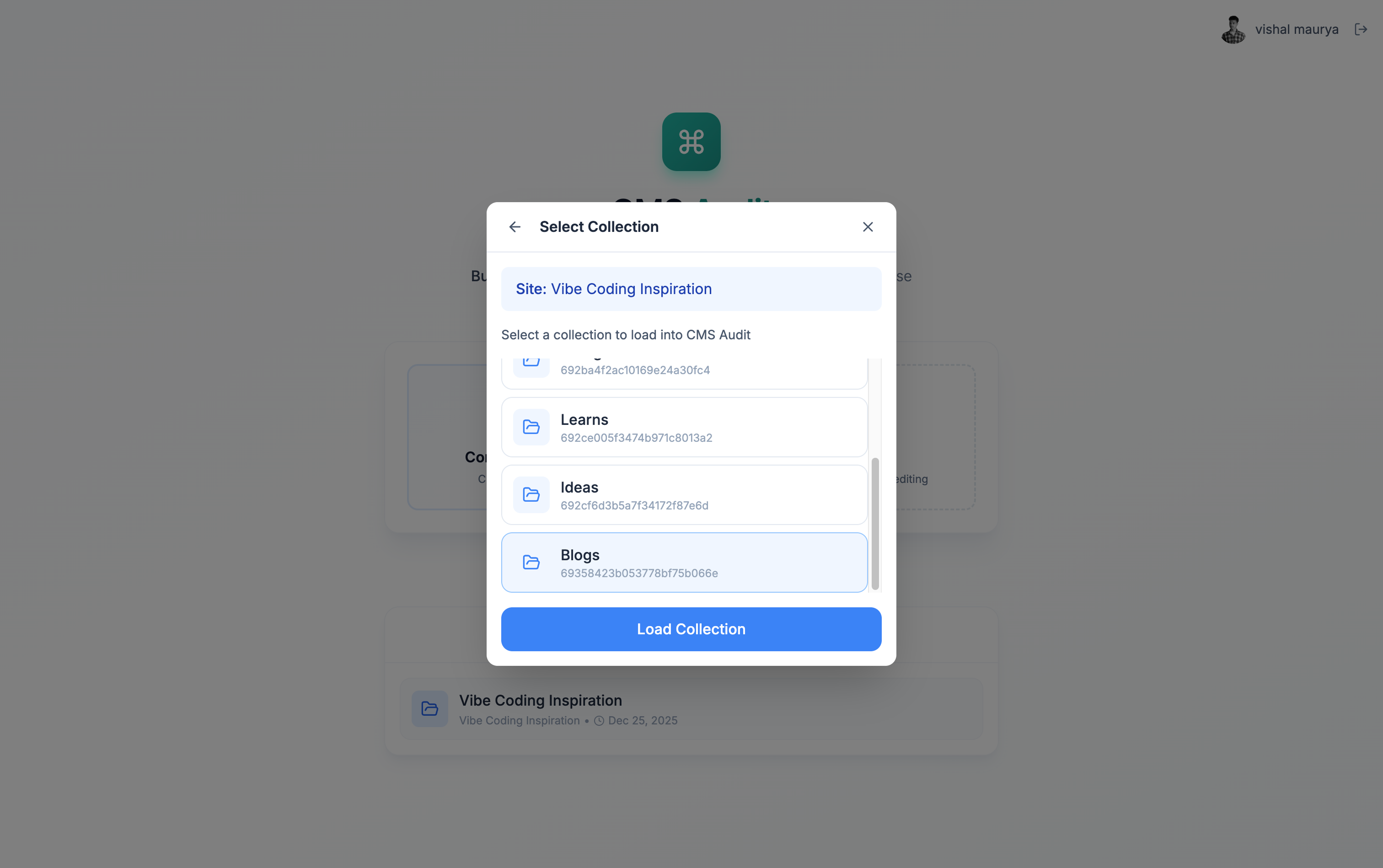 CMS Audit screenshot 2