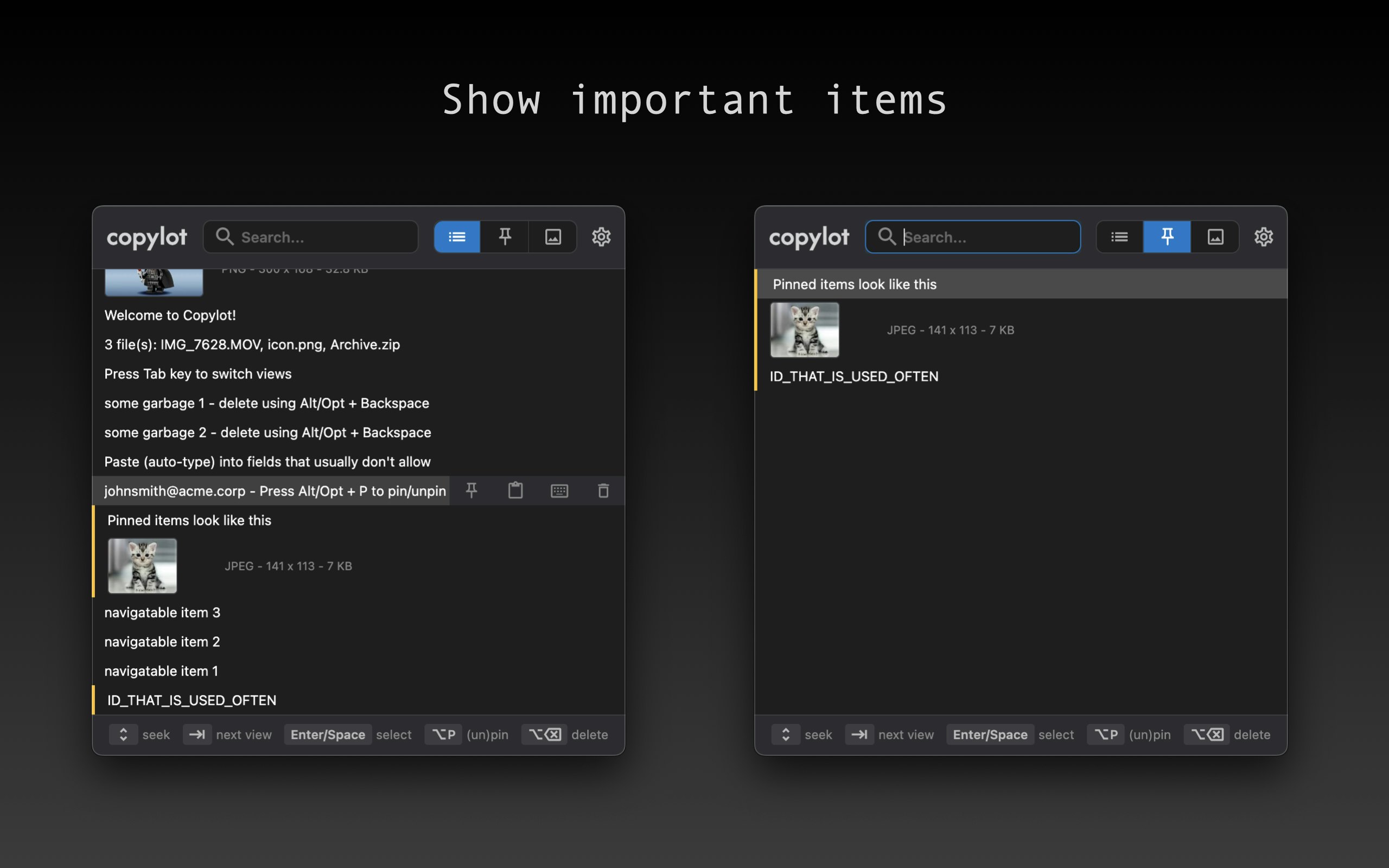 Copylot screenshot 3