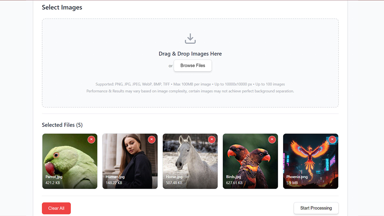 BIBROF AI screenshot 3