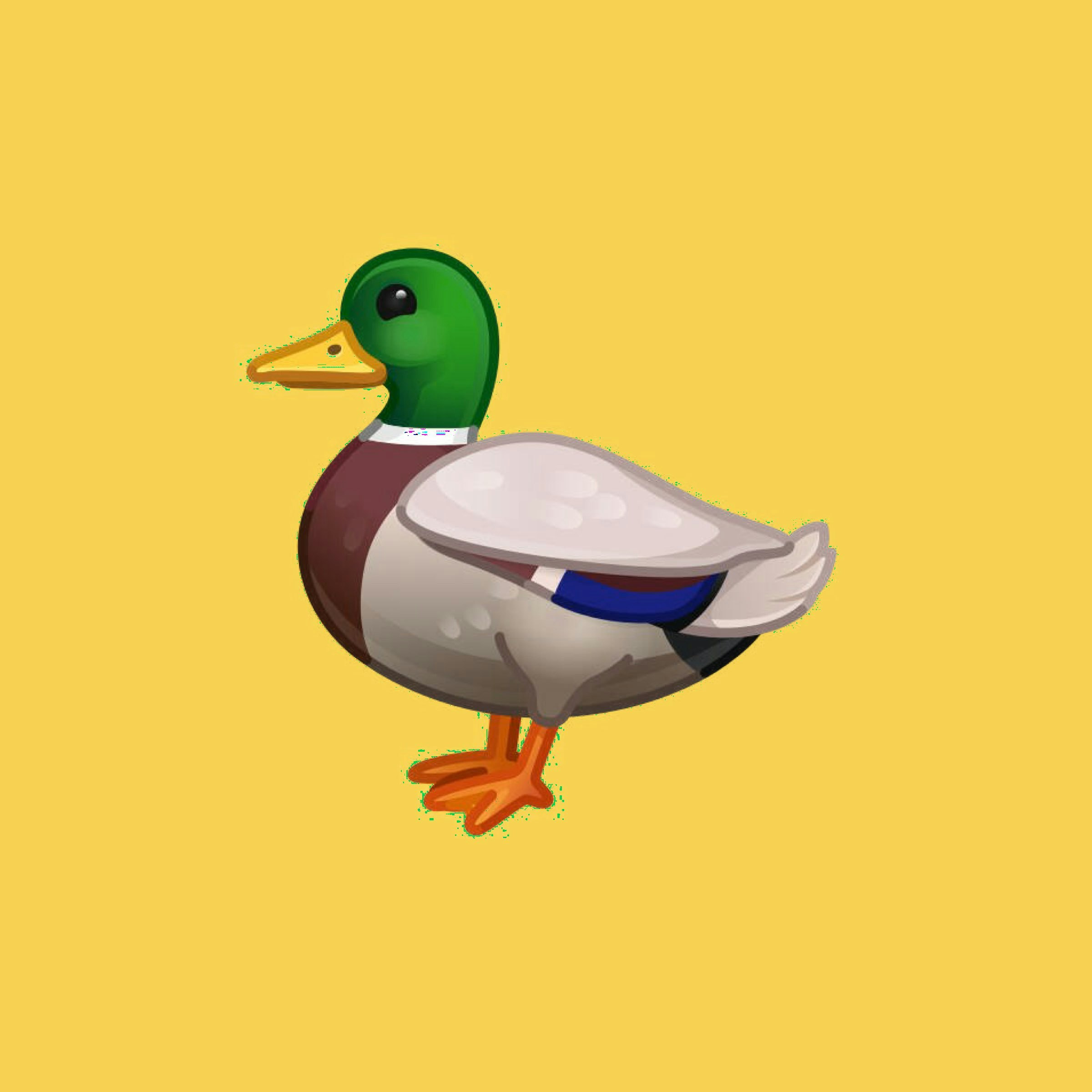 FotoDuck - Images that Sell