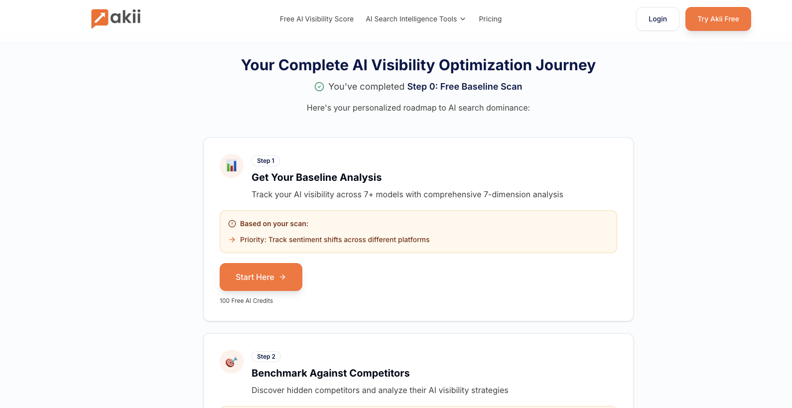 Akii AI Visibility Score screenshot 7
