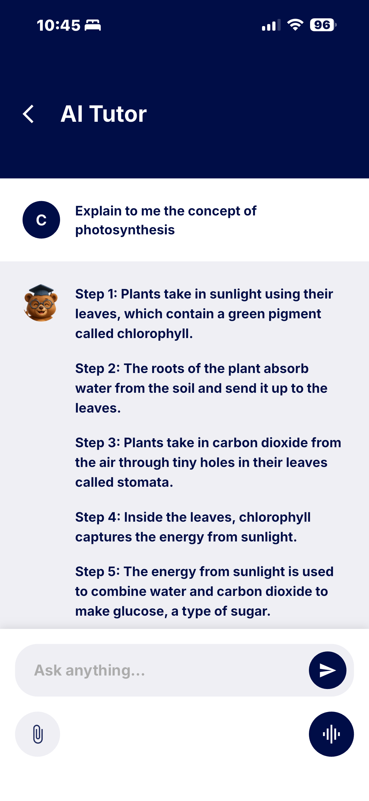 Study Sense screenshot 4