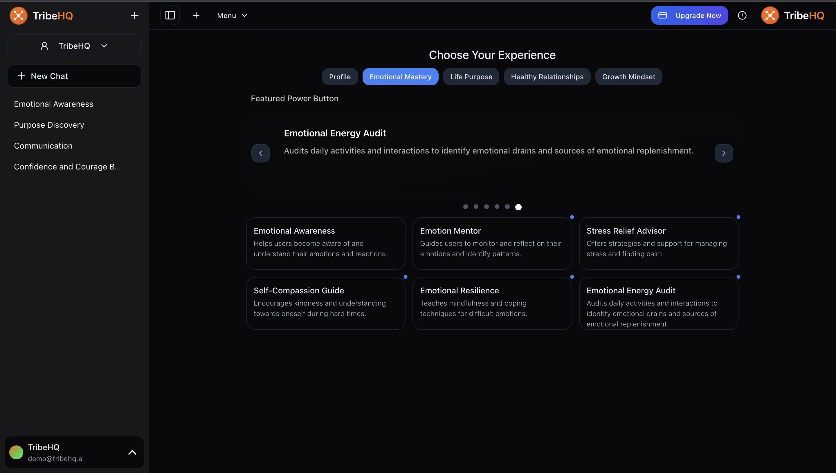 TribeHQ.AI screenshot 1