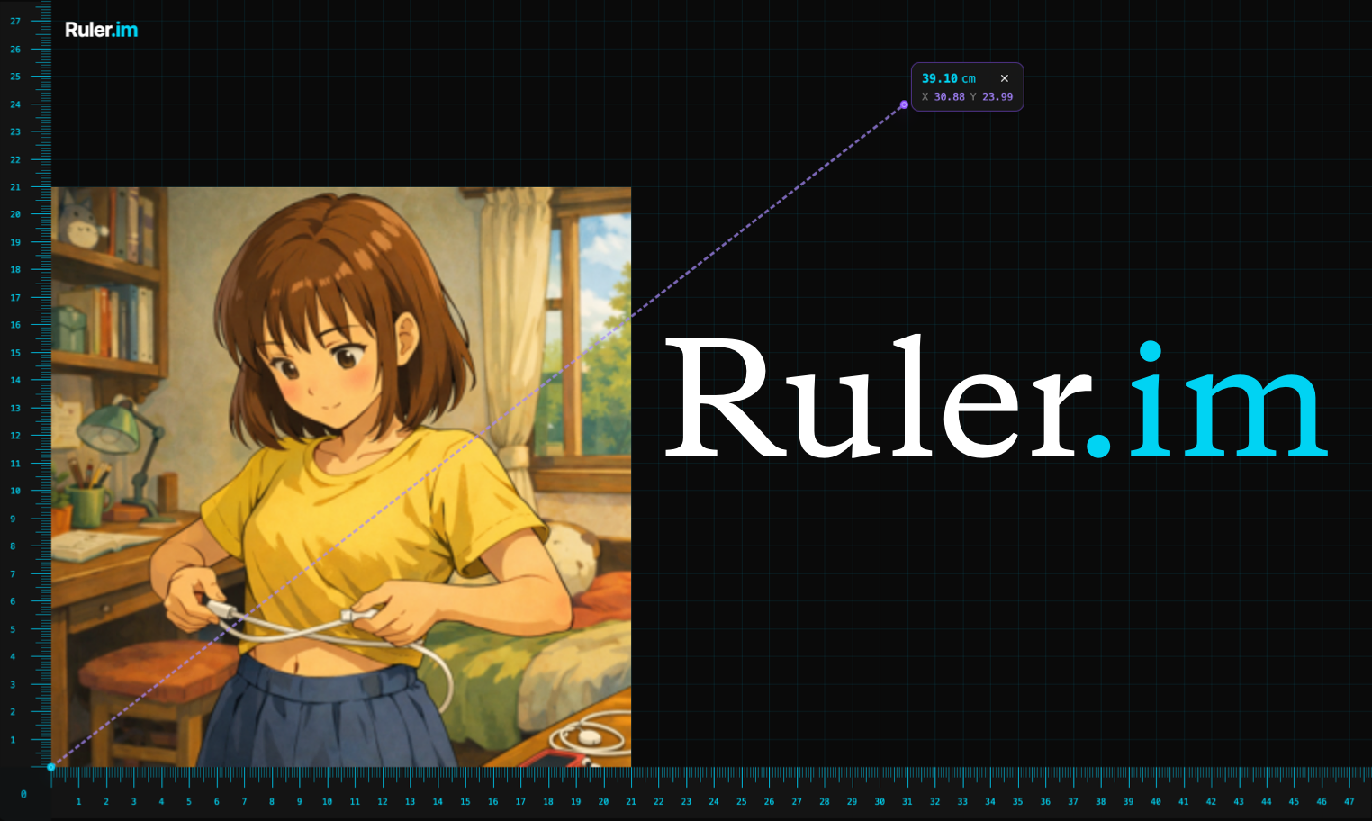 Ruler.im screenshot 1