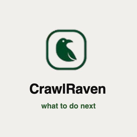 CrawlRaven screenshot 6