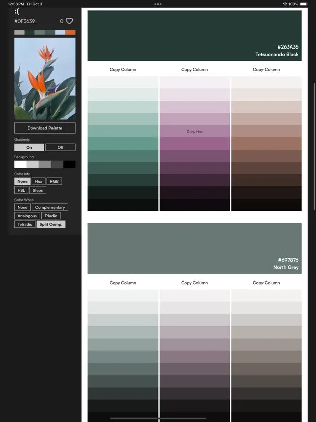 Photo Color Palettes screenshot 7
