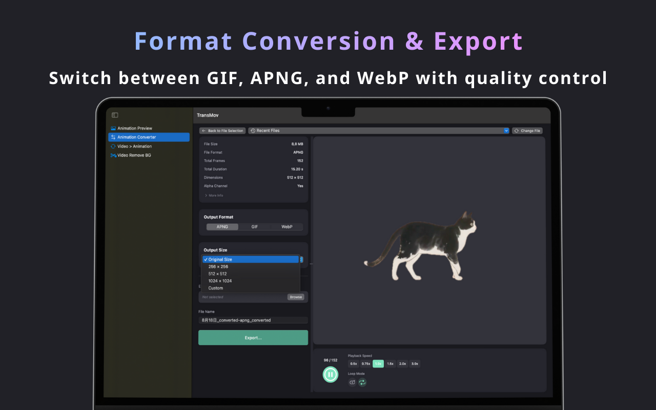 TransMov screenshot 4