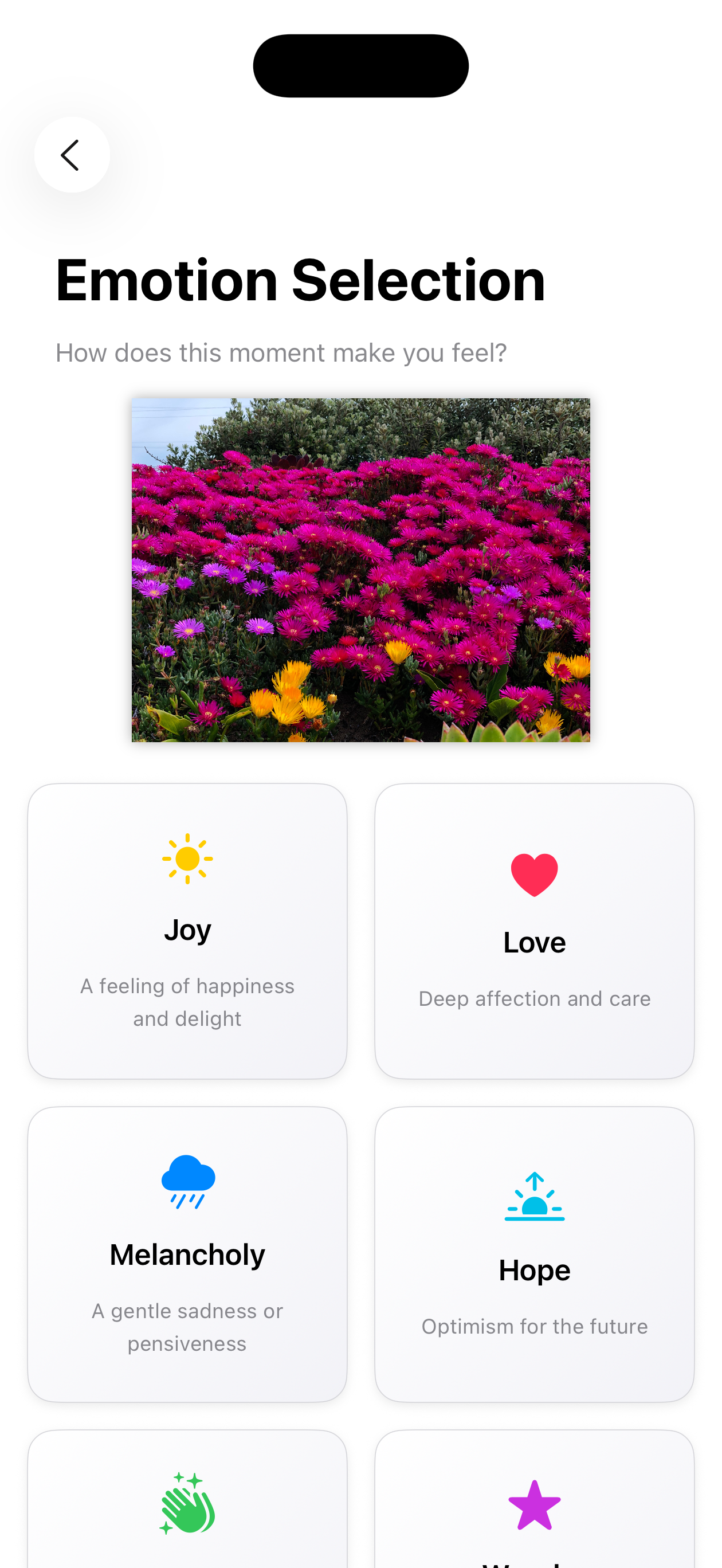SoulSnap screenshot 6