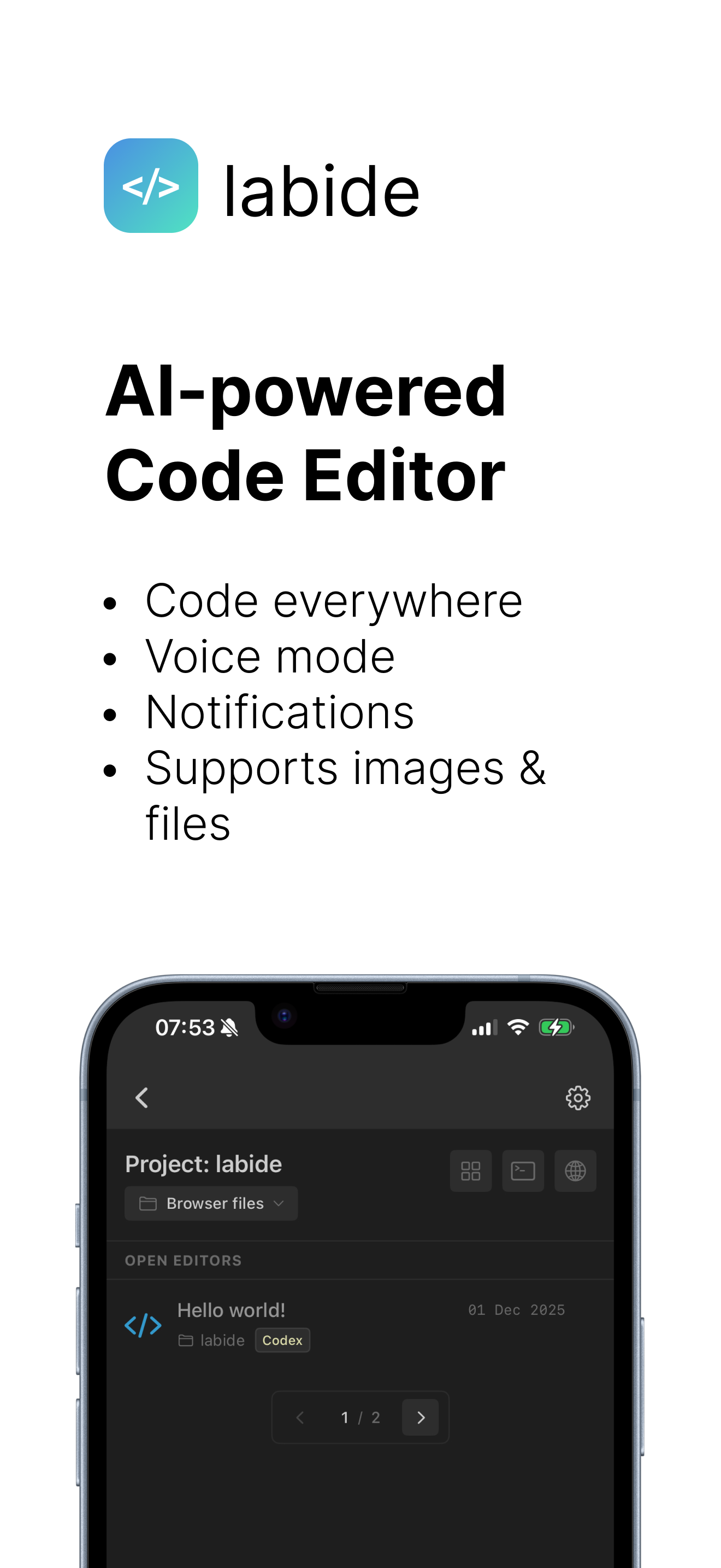 Labide screenshot 2