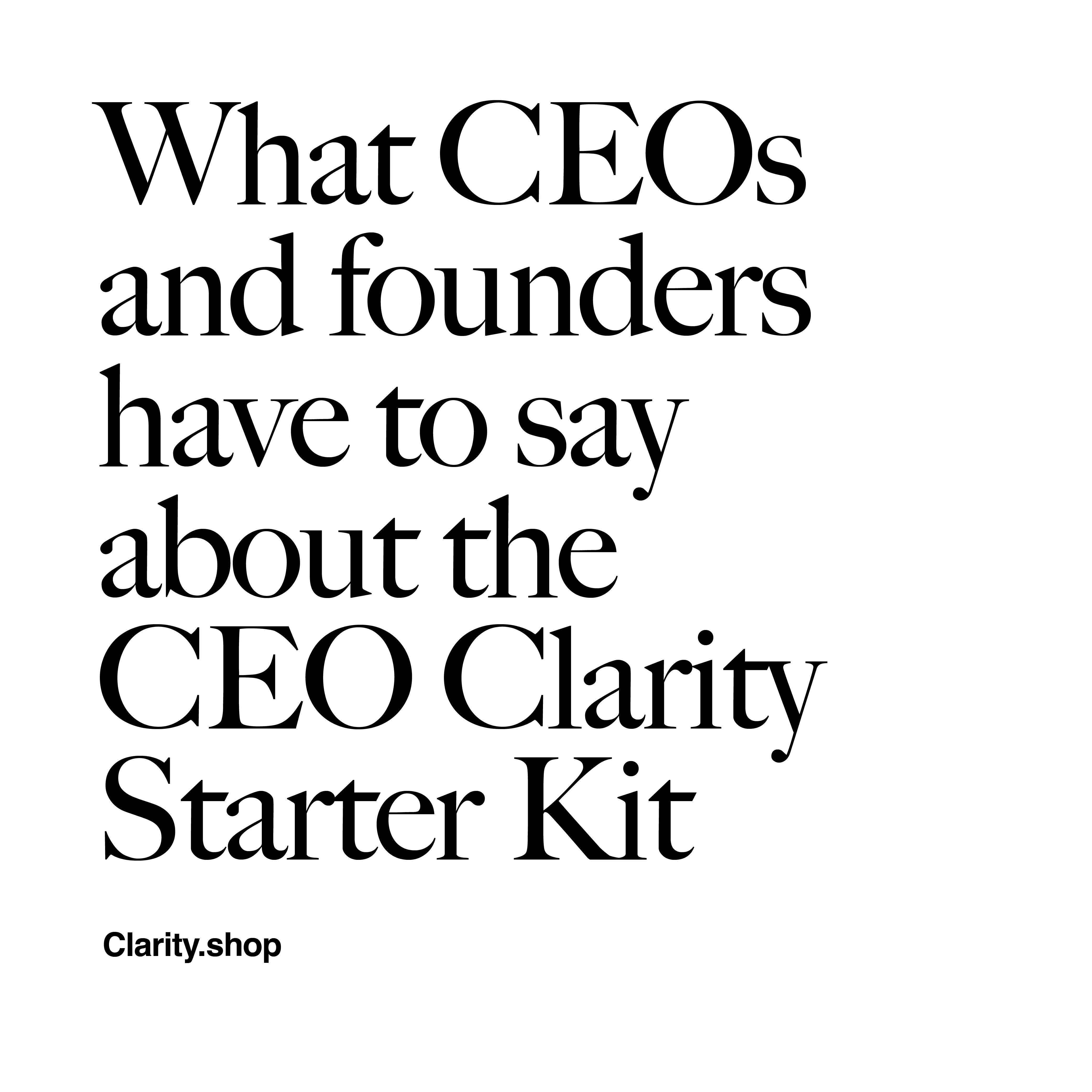 The CEO Clarity Starter Kit screenshot 2