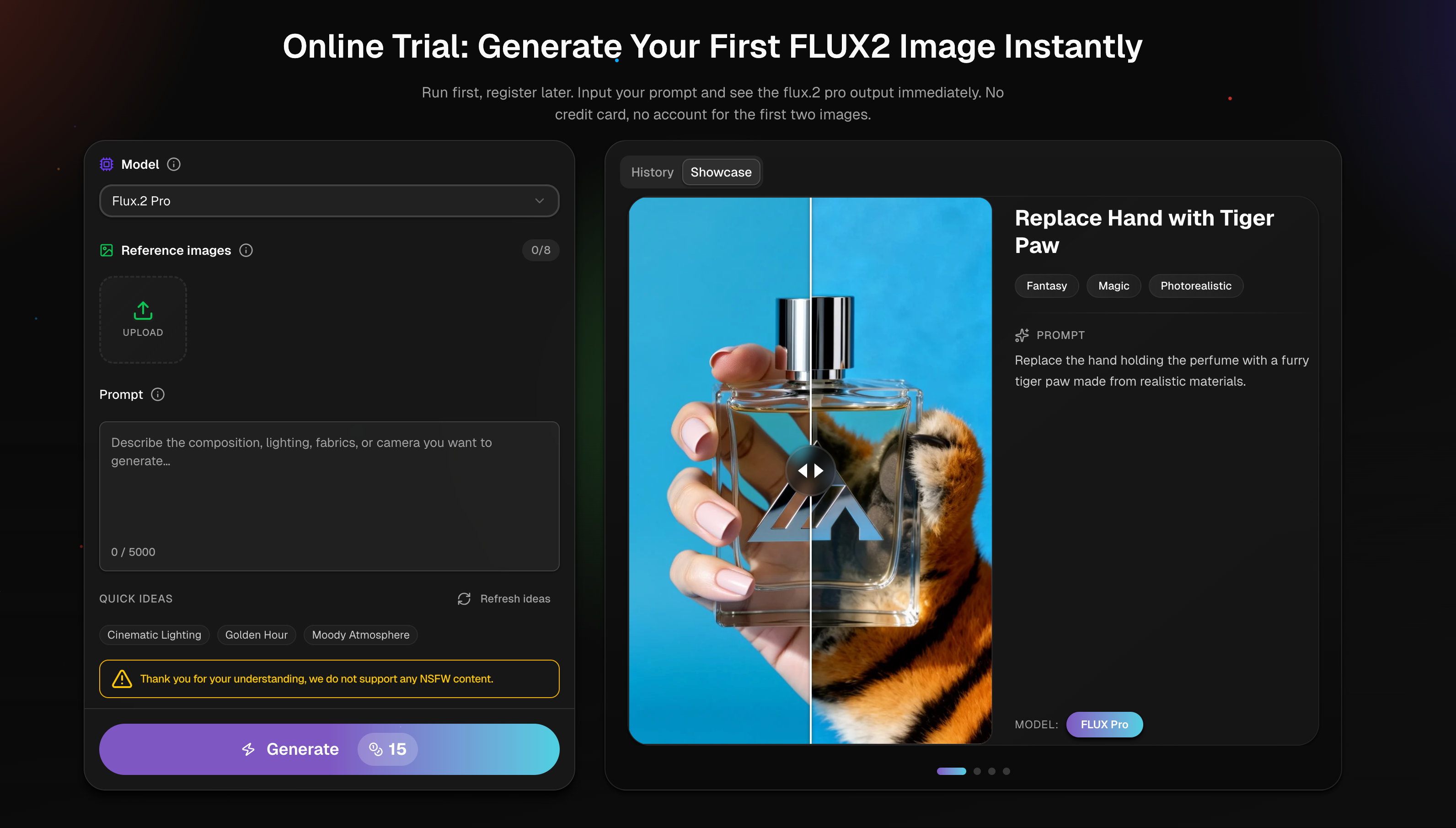 Try Flux2 screenshot 2