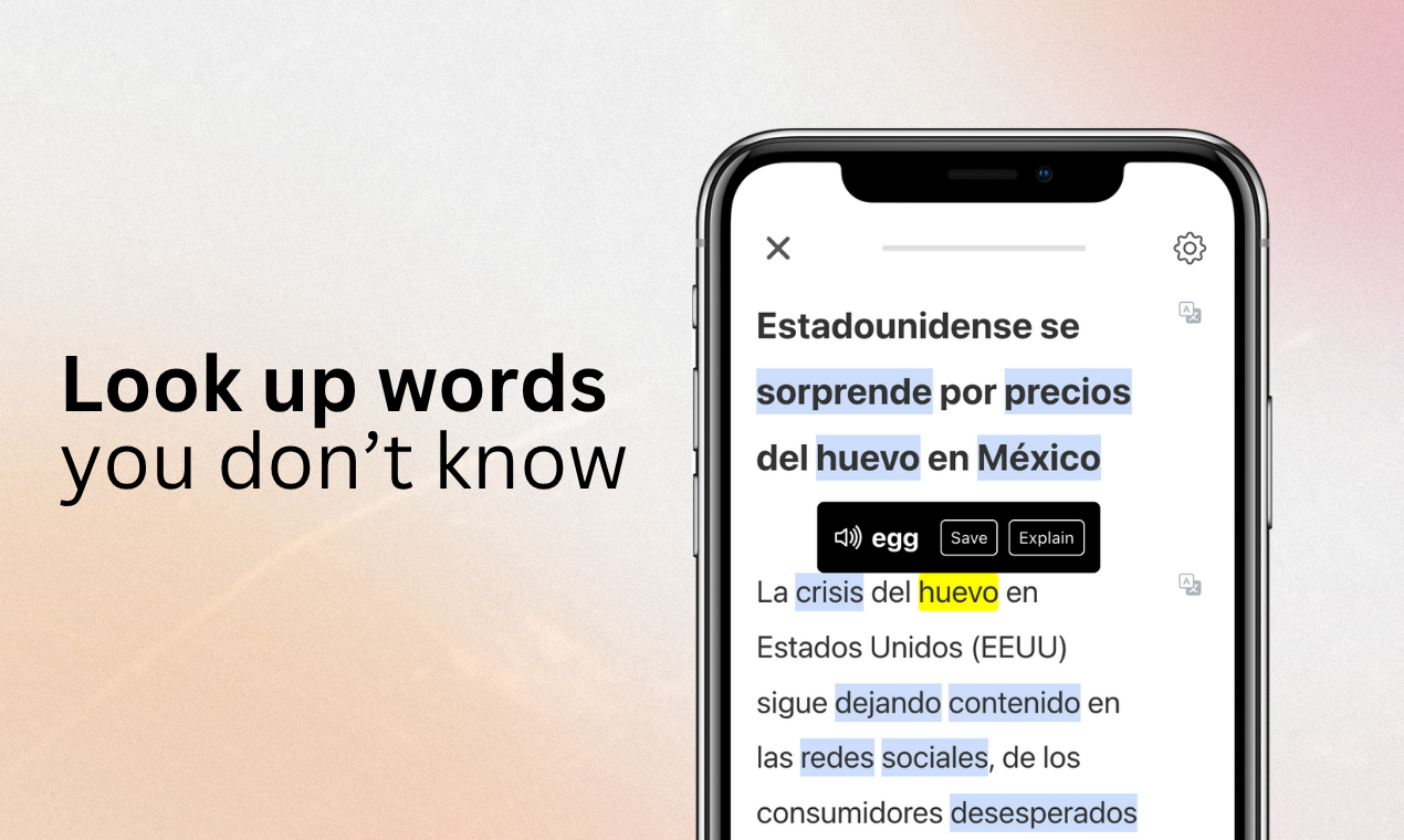 Lingo Champion text reader screenshot 1