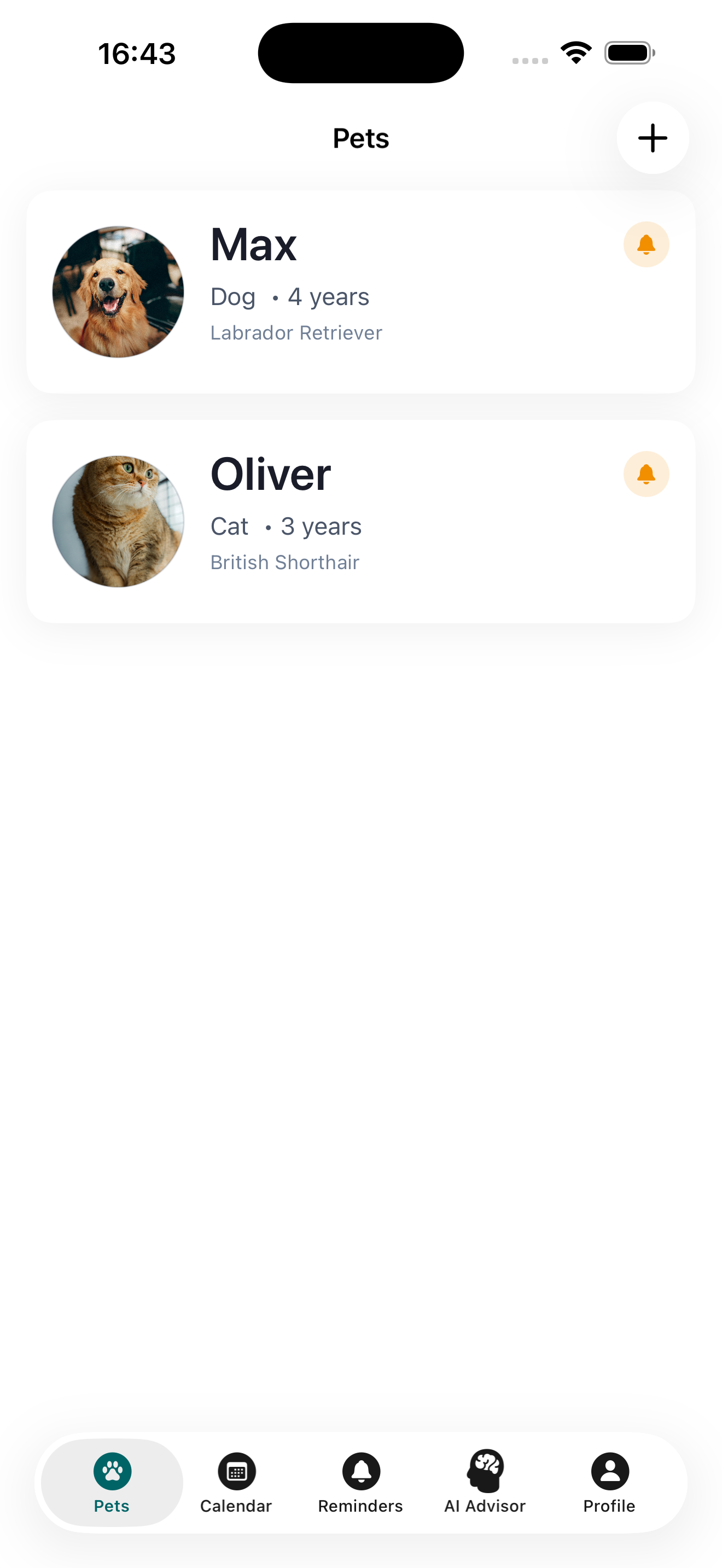 Pettify screenshot 2