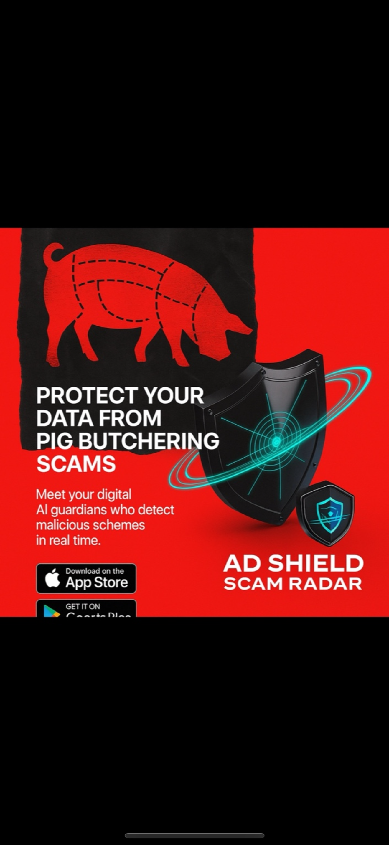 adshieldradar.com screenshot 5