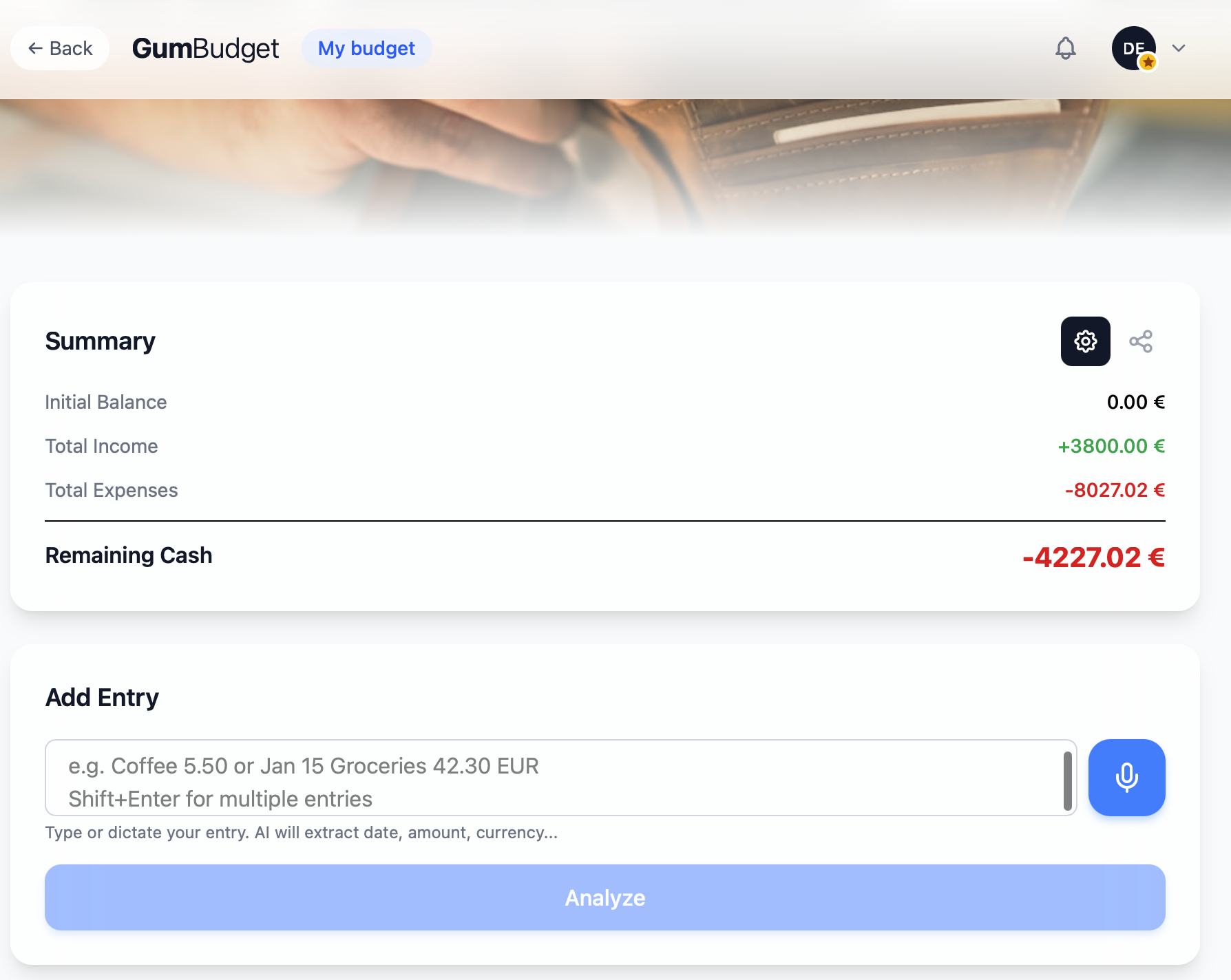 GumBudget screenshot 4