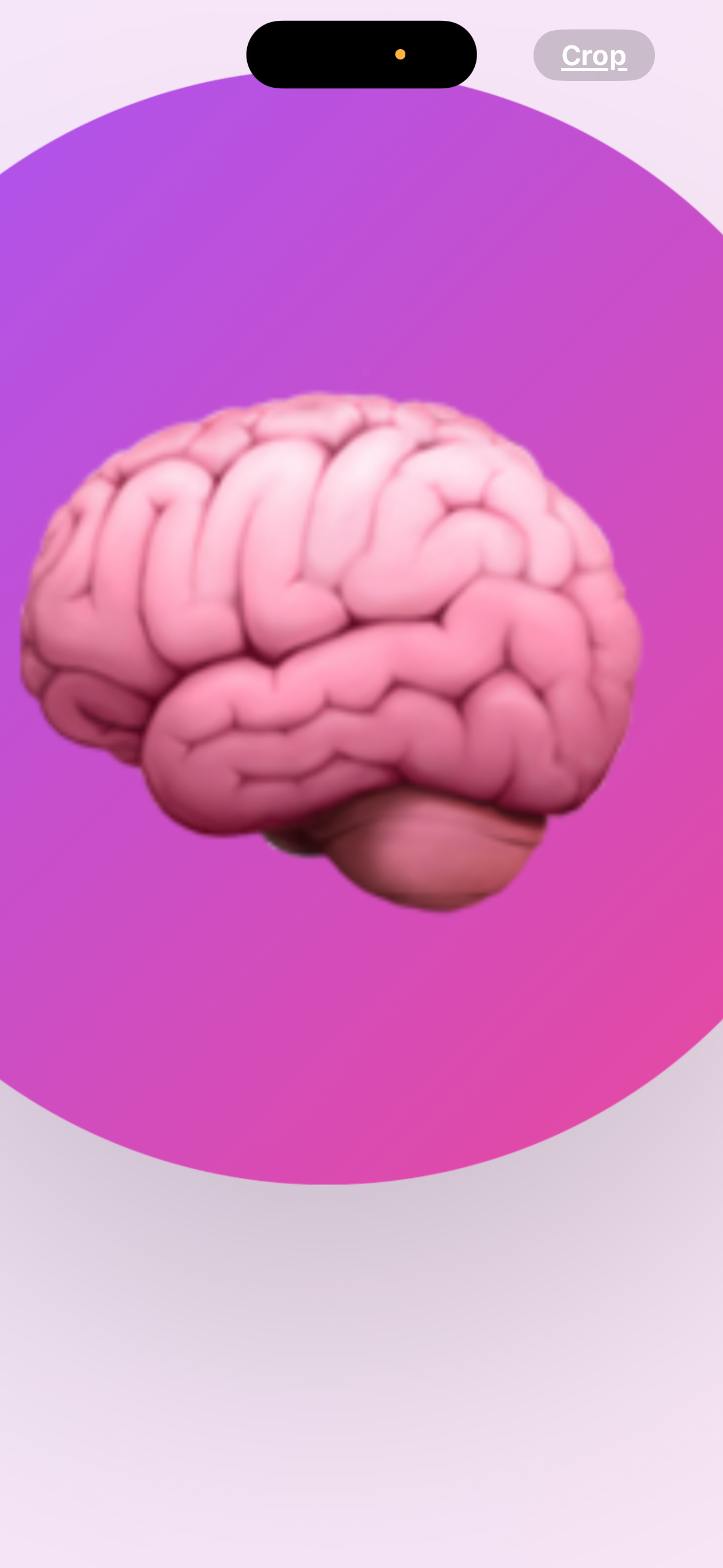 Brain Quest Kids 