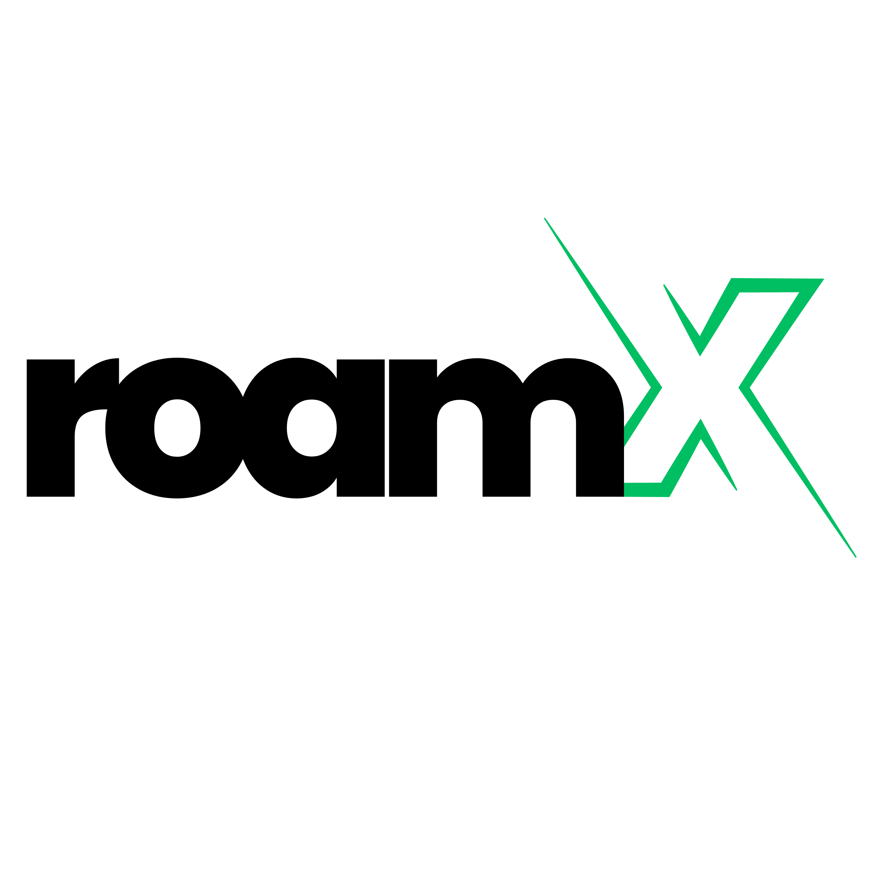 RoamX