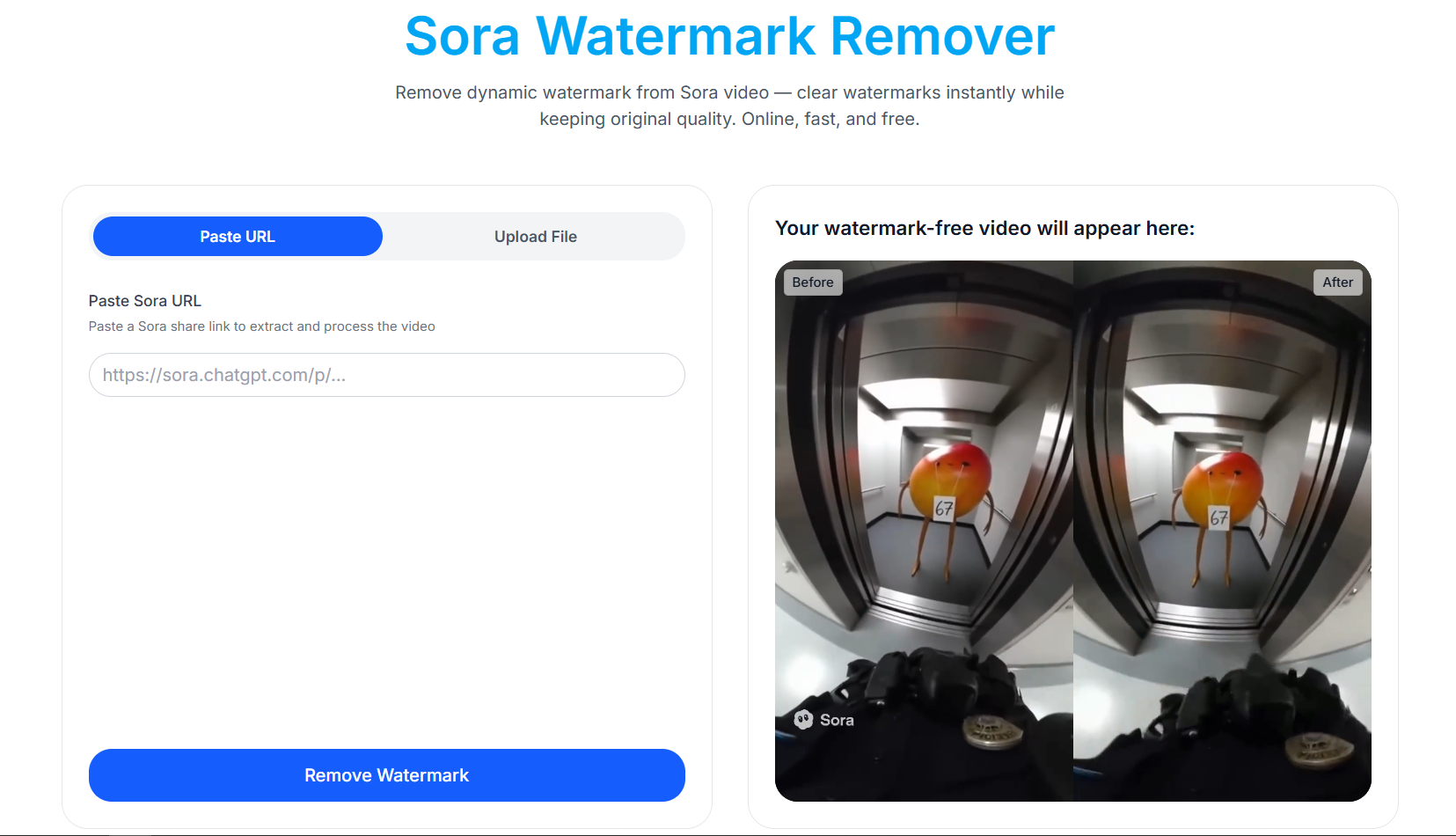 Sora Watermark Remover screenshot 1