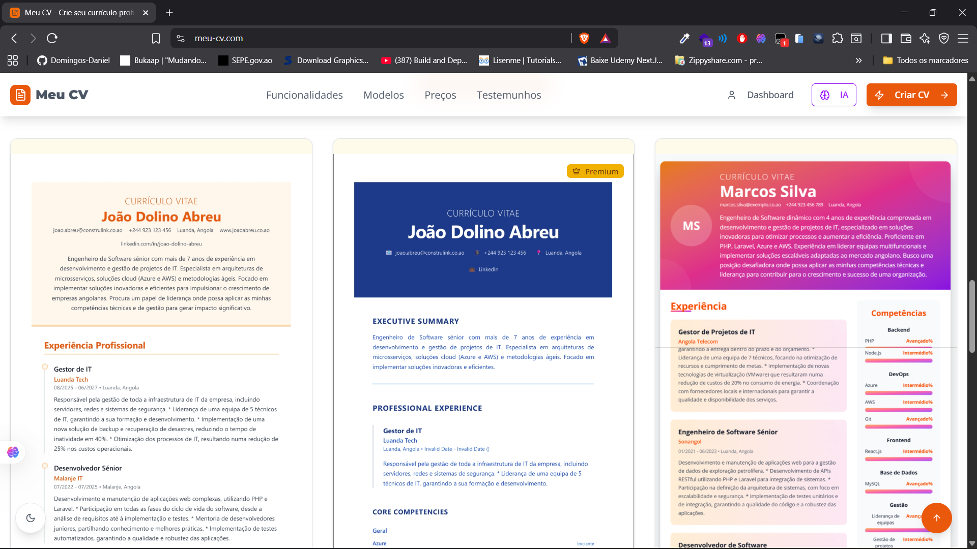 Meu CV screenshot 10
