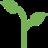 Curb Appeal AI