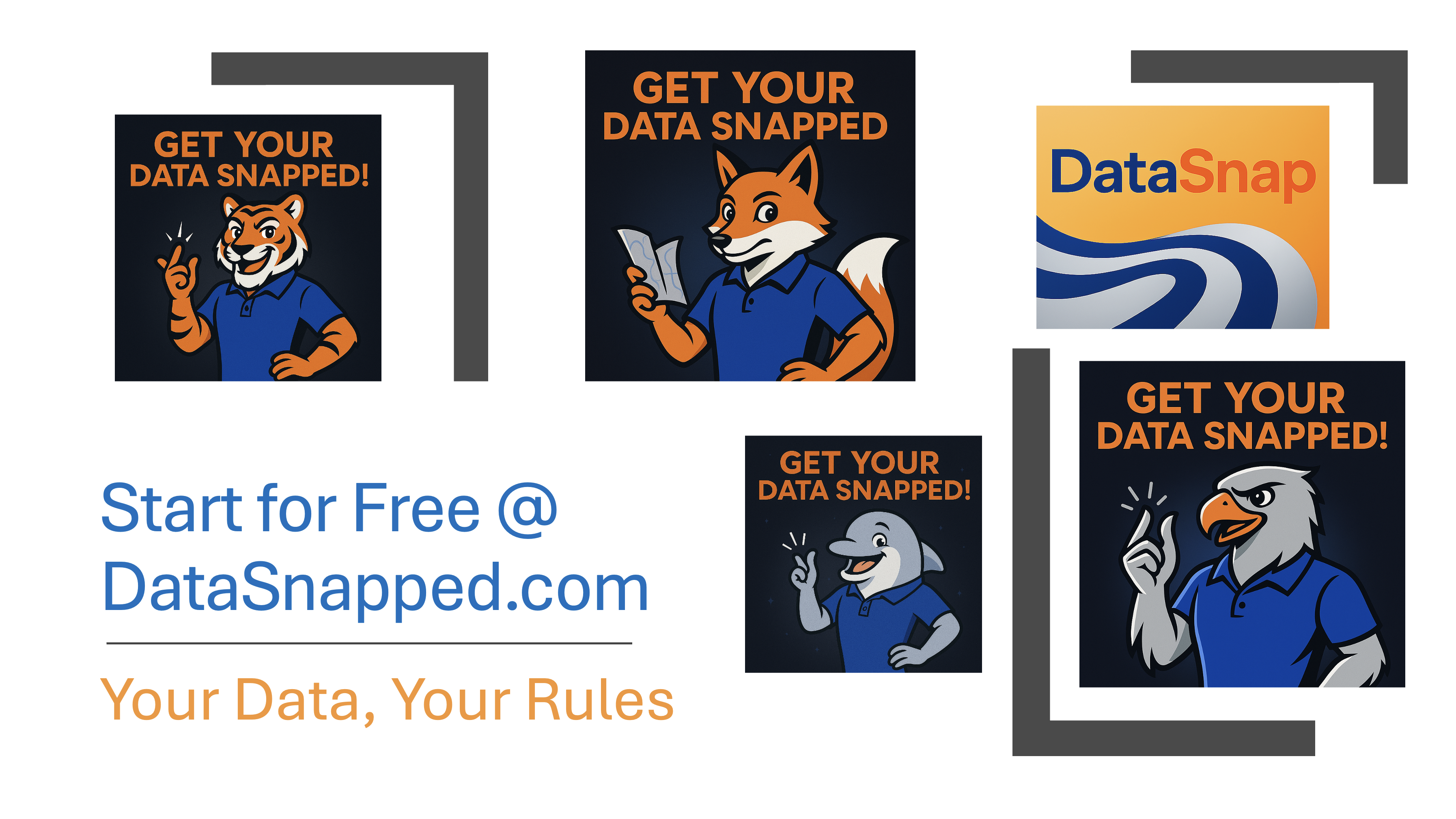 DataSnap screenshot 1