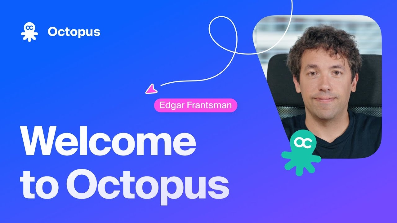Octopus.do AI assistant BETA screenshot 6