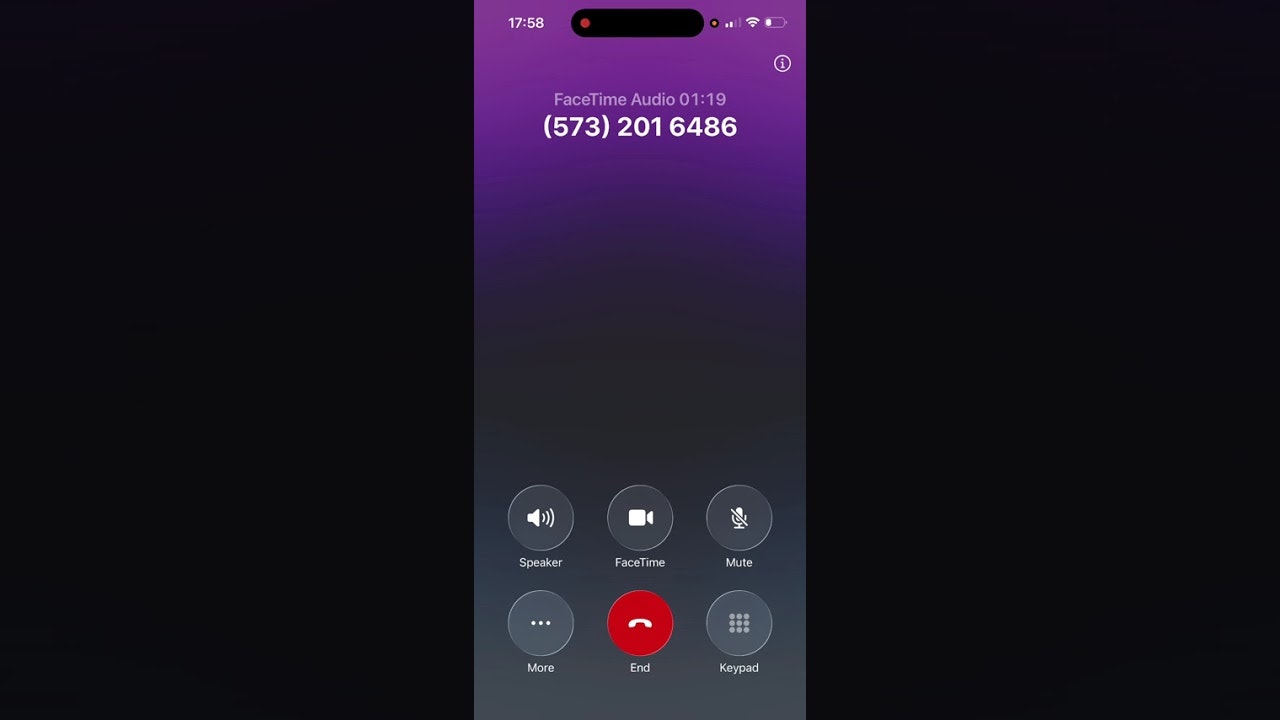 AI Voice Agent - Mivibzzz screenshot 1