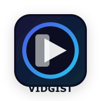 VidGist