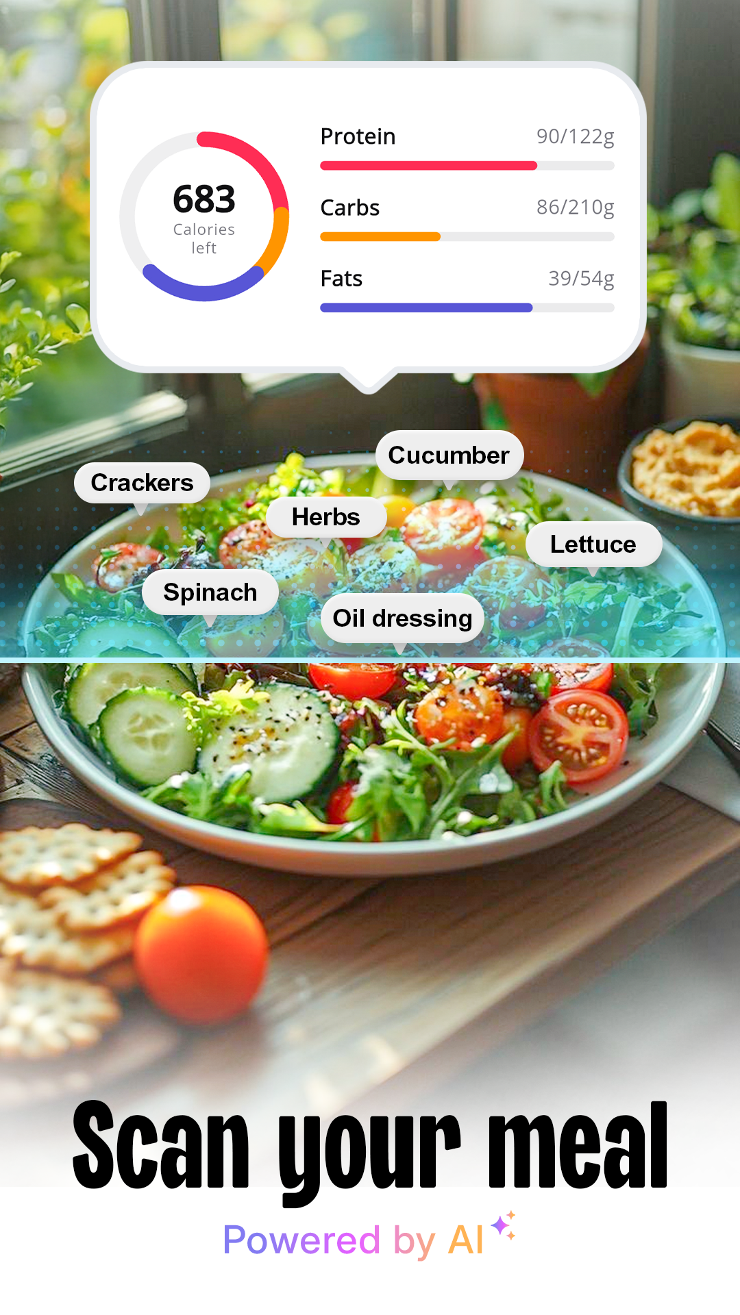 SnapFit – AI Calorie Counter screenshot 3