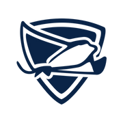 Stingray Security Chrome Extension
