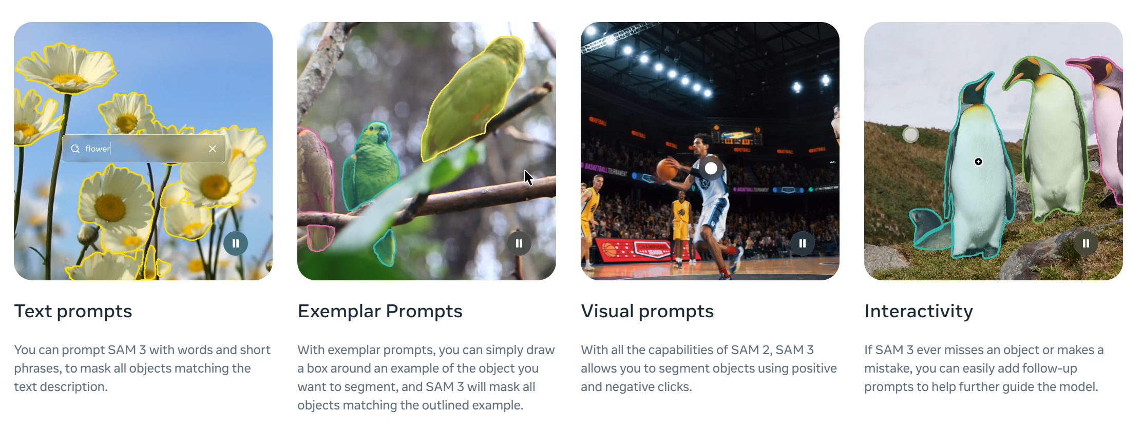 SAM 3 & 3D screenshot 12