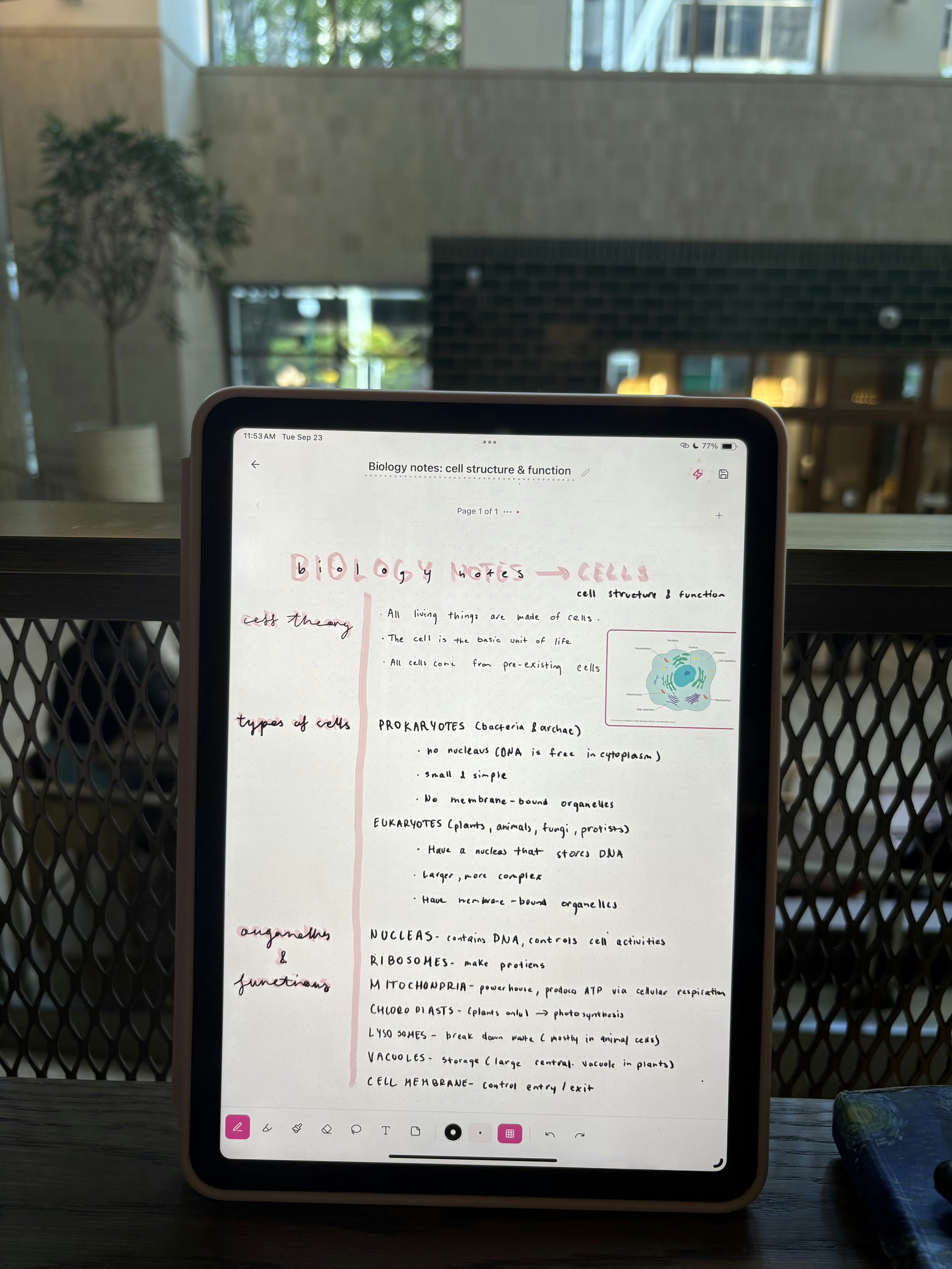NoteNest screenshot 3