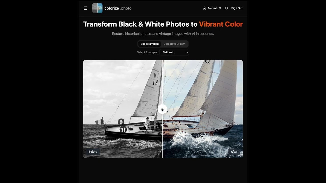 Colorize Photo screenshot 1