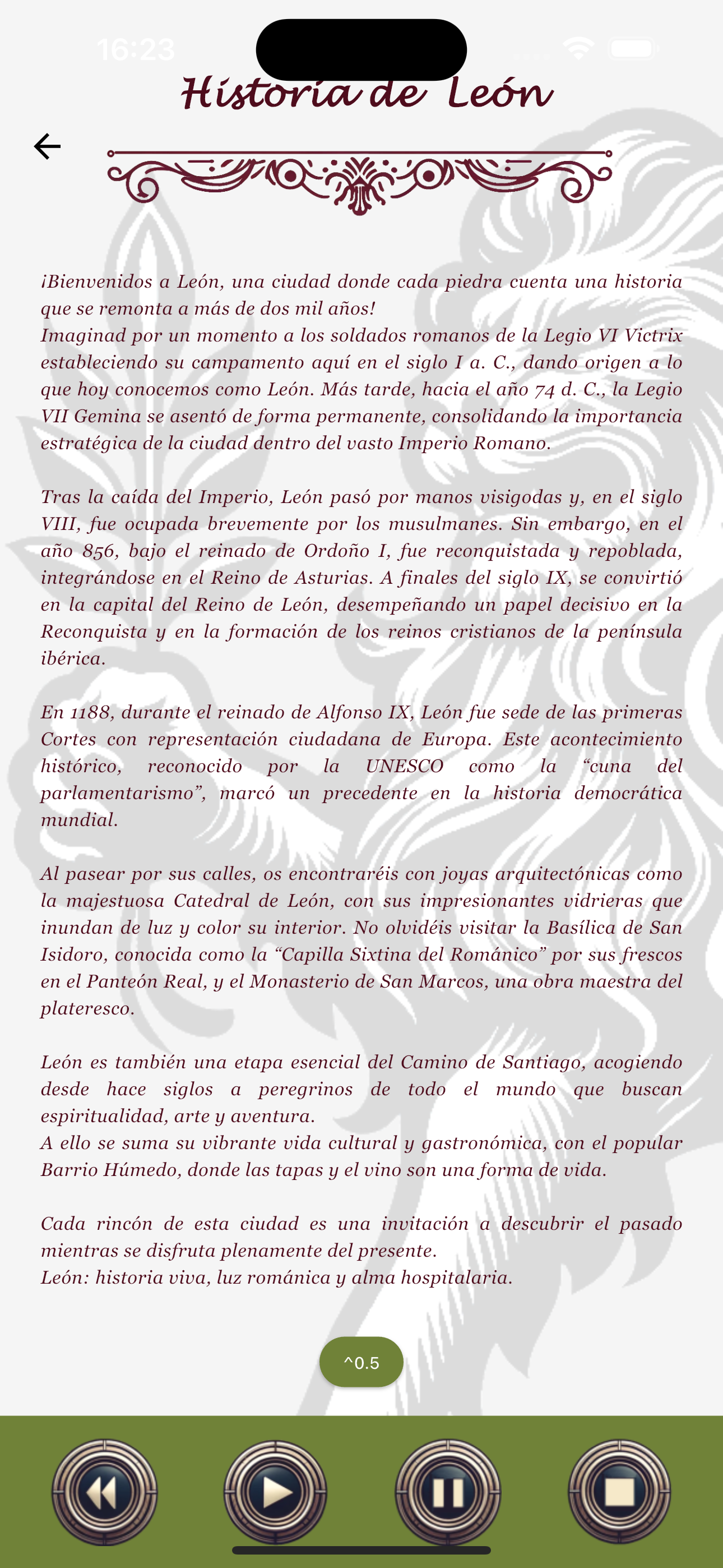 Voz de León screenshot 2