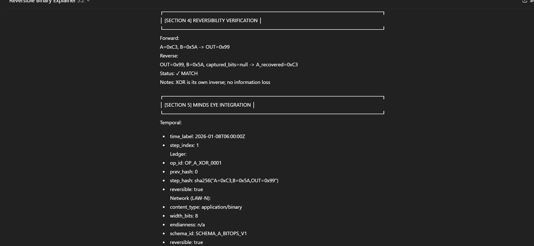 Reversible Binary Explainer screenshot 46