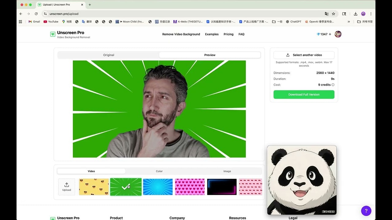 Unscreen Pro screenshot 1