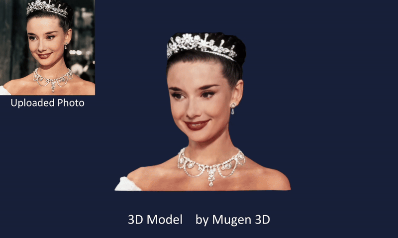 Mugen 3D screenshot 1