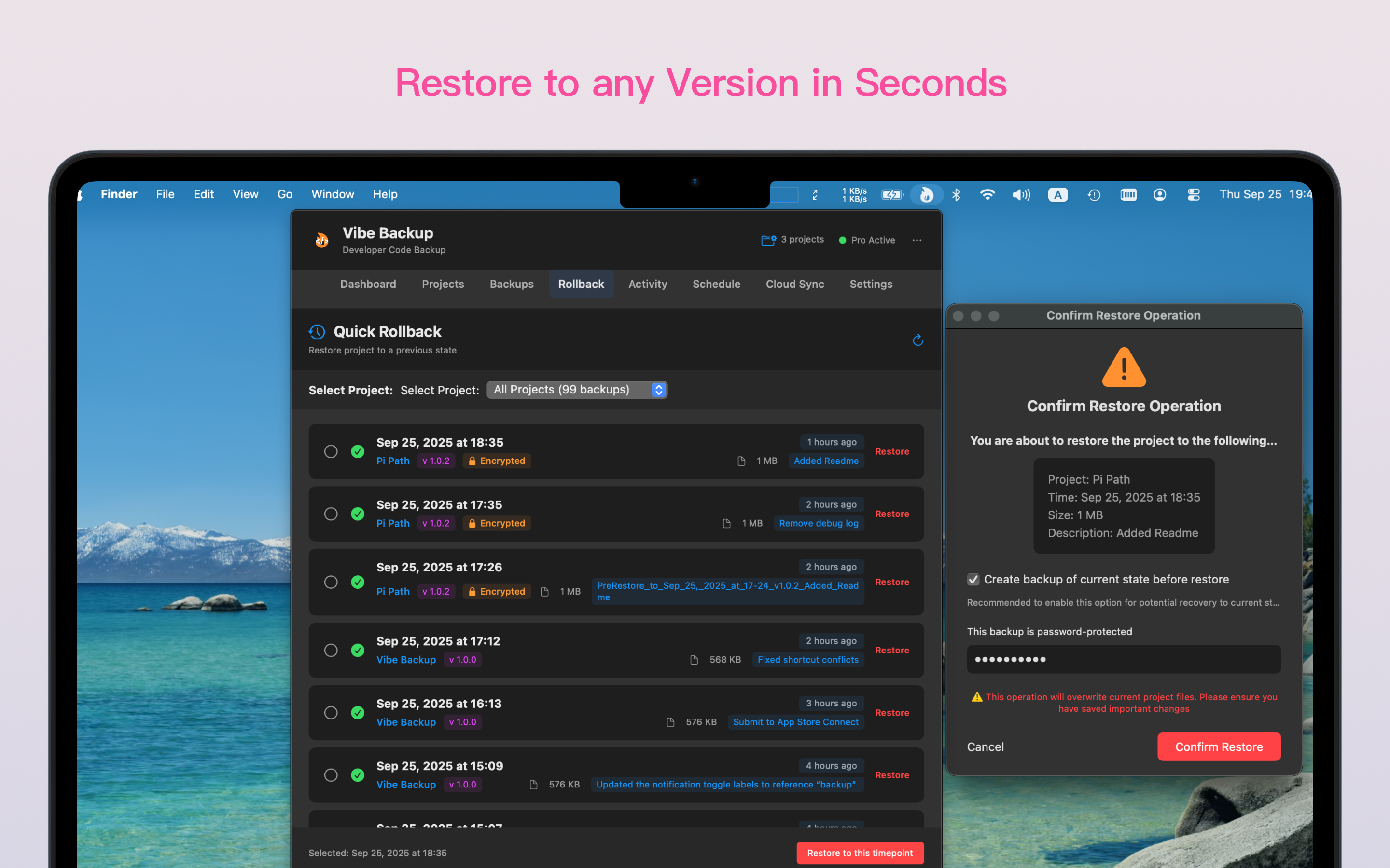 Vibe Backup screenshot 7