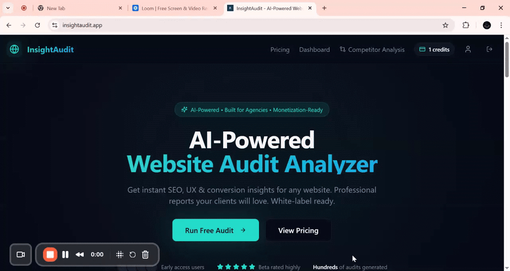 InsightAudit screenshot 1