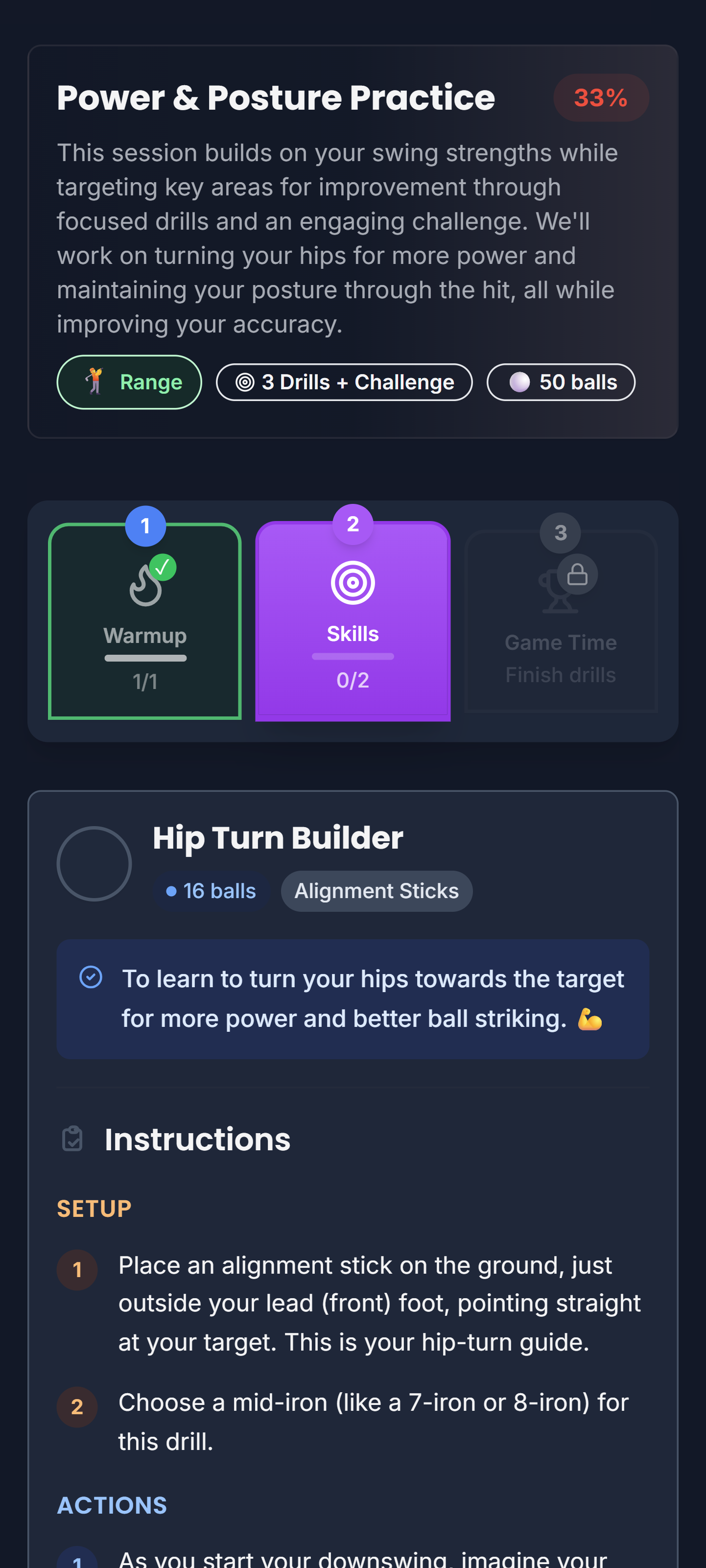 SwingSight screenshot 8