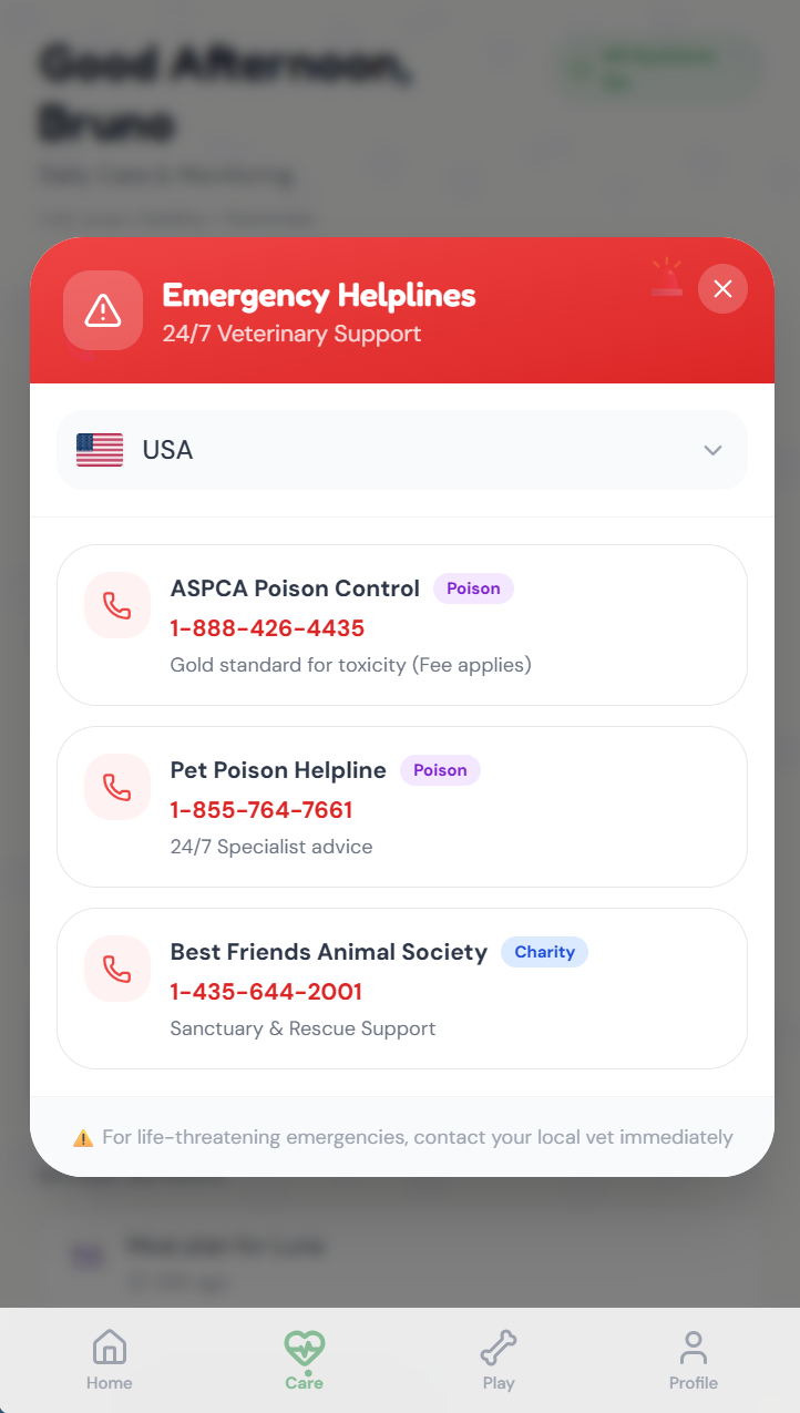 Pup & Pop screenshot 2